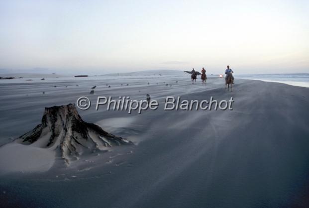 bresil ceara 12.JPG - Cavaliers sur la plageMangrove (paletuviers) desséchéeManguesecoJericoacoaraNord de FortalezaNordesteCearaBrésil